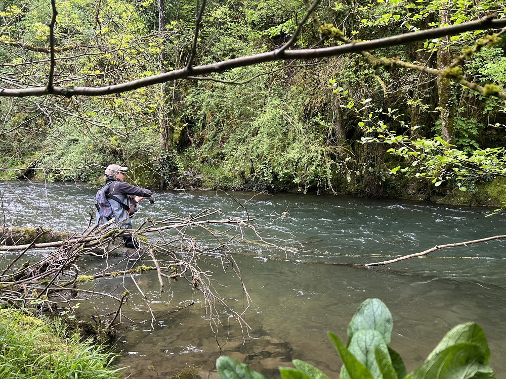 Clasificación provisional Campeonato Navarro Salmónidos Mosca